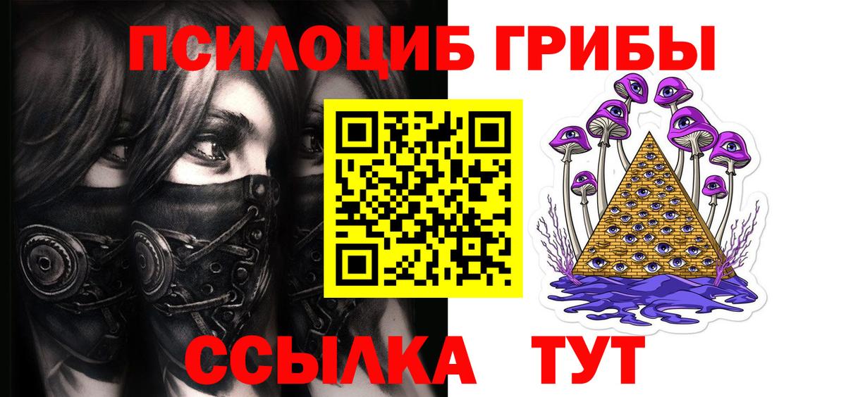 Псилоцибиновые грибы мицелий Владикавказ