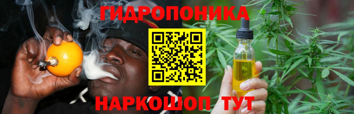 Шишки марихуана OG Kush Владикавказ